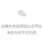 支架设置